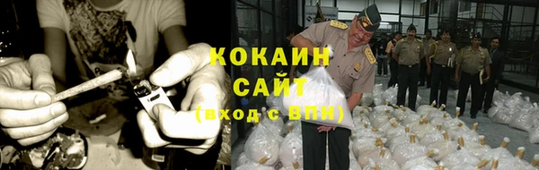 шишки Беломорск