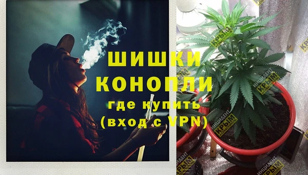гидра Богданович