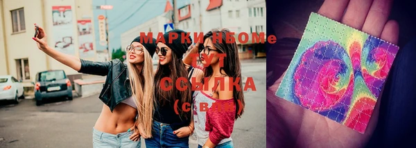 spice Богородицк