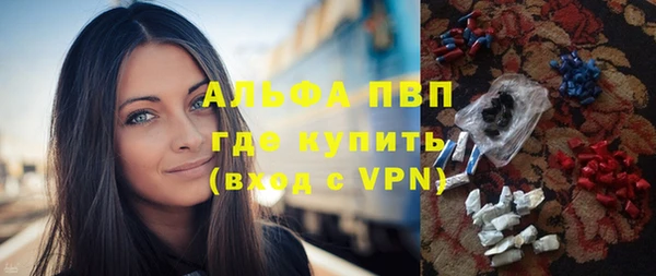 spice Богородицк